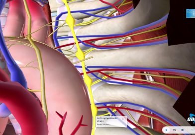 Dott. Enrico Davoli (Neurochirurgia del sistema simpatico)